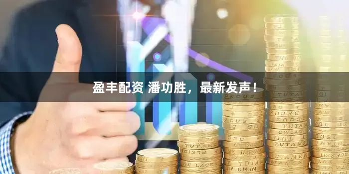 盈丰配资 潘功胜，最新发声！