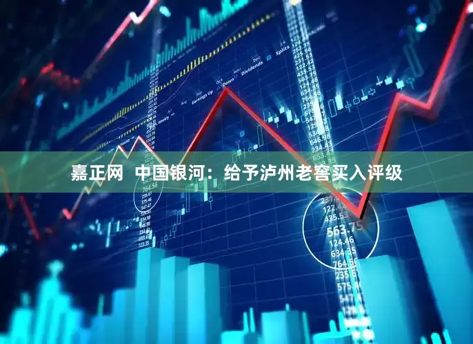 嘉正网  中国银河：给予泸州老窖买入评级