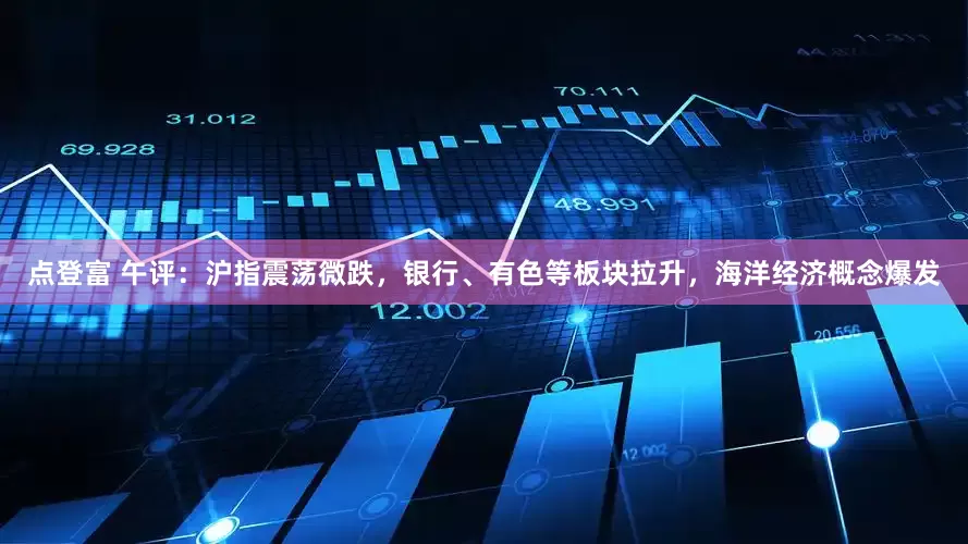 点登富 午评：沪指震荡微跌，银行、有色等板块拉升，海洋经济概念爆发